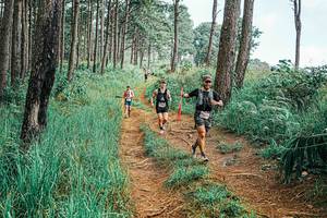 BIB: 
                            <button type="button" onclick="openModal(25655294)" class="btn btn-primary btn-sm float-right btn-popup" data-toggle="modal" data-target=".modal-high-quality">
                        <i class="fas fa-shopping-cart"></i> Add to Cart
                    </button>
                                            <button type="button" onclick="isThisMe(25655294, true)" class="btn btn-success btn-sm float-right btn-popup btn-isme hidden" data-toggle="tooltip" data-placement="bottom" title="นี่คือรูปของคุณใช่ไหม คลิกที่นี่เพื่อเอาเข้าอัลบั้ม">
                        <i class="fas fa-plus"></i> Add to album
                    </button>
                    <button type="button" onclick="isThisMe(25655294, false)" class="btn btn-warning btn-sm float-right btn-popup btn-isnotme hidden">
                        <i class="fas fa-ban"></i> Remove from album
                    </button>